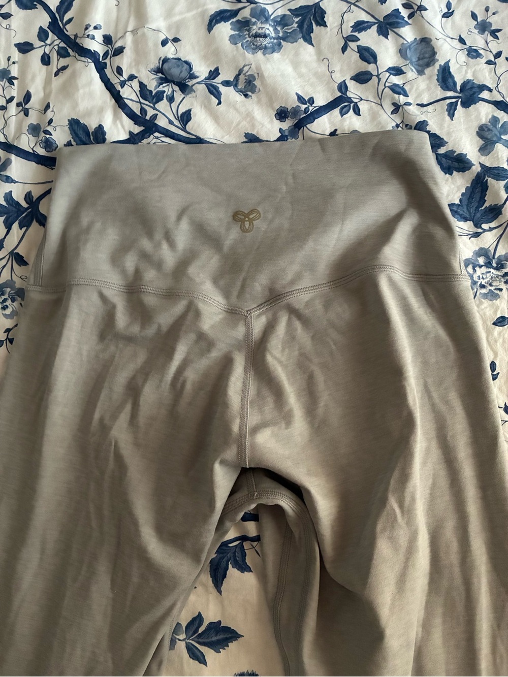 Aritzia Leggings - Grey